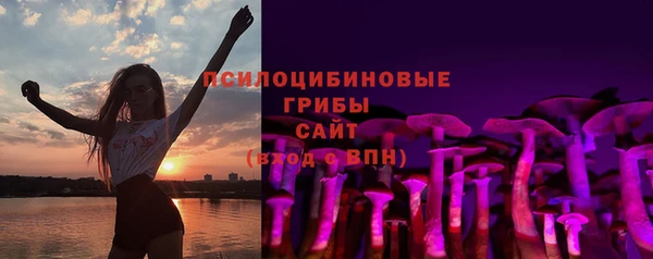ПСИЛОЦИБИНОВЫЕ ГРИБЫ Балабаново