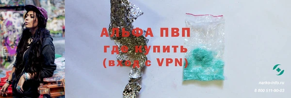 ПСИЛОЦИБИНОВЫЕ ГРИБЫ Балабаново