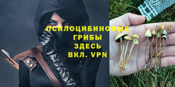 прущая мука Балахна