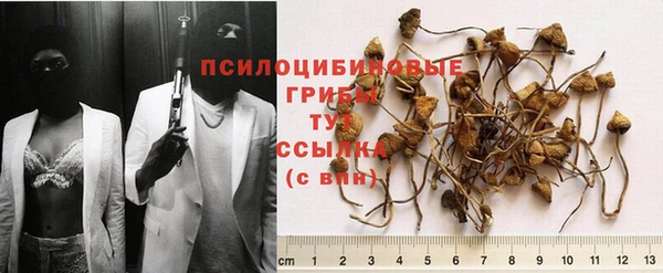 прущий лед Аркадак