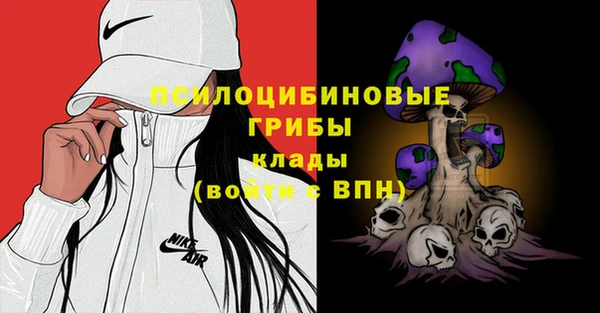 ПСИЛОЦИБИНОВЫЕ ГРИБЫ Балабаново